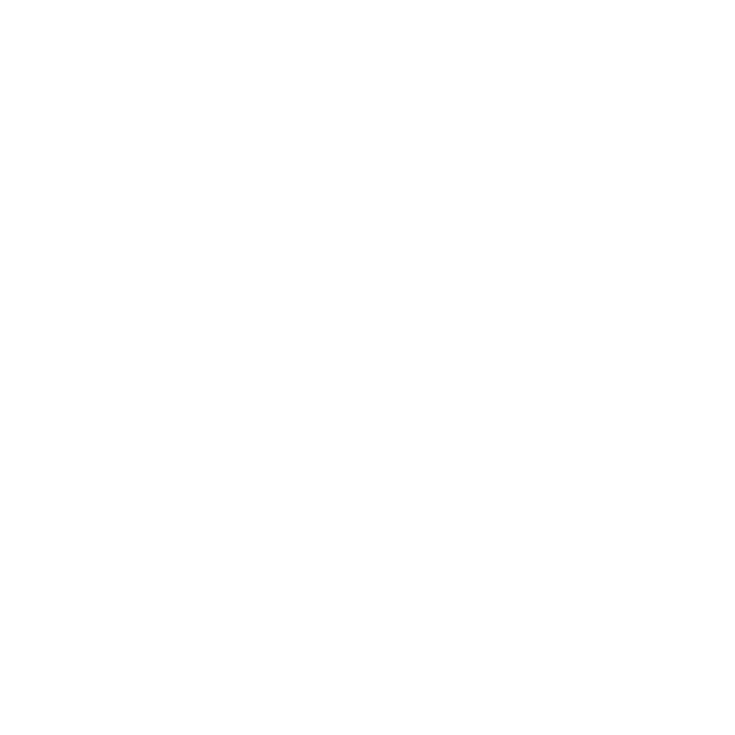 Ledokol Group